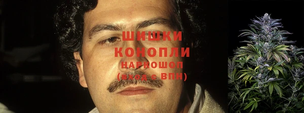 стаф Навашино