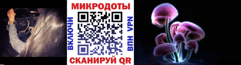 ОМГ ОМГ tor что такое наркотик Николаевск-на-Амуре Галлюциногенные грибы Psilocybe